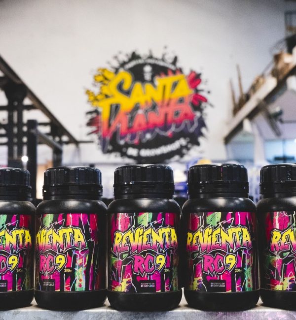 427688689_18256348468228987_7166262185871381266_n