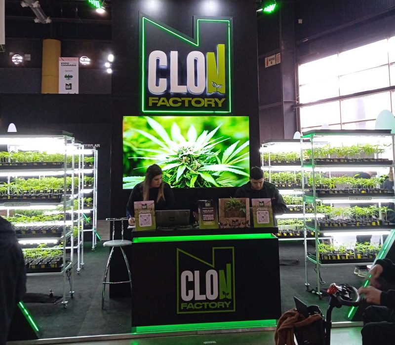 stand clon factory expo cannabis